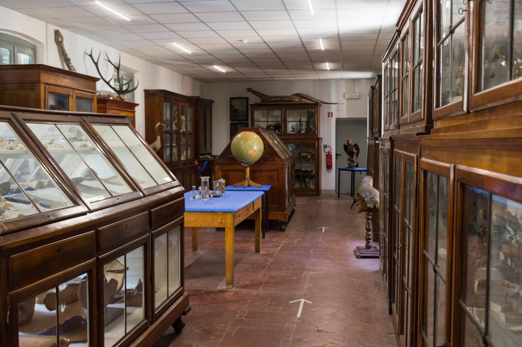Museo-di-scienze